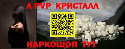 спиды Будённовск