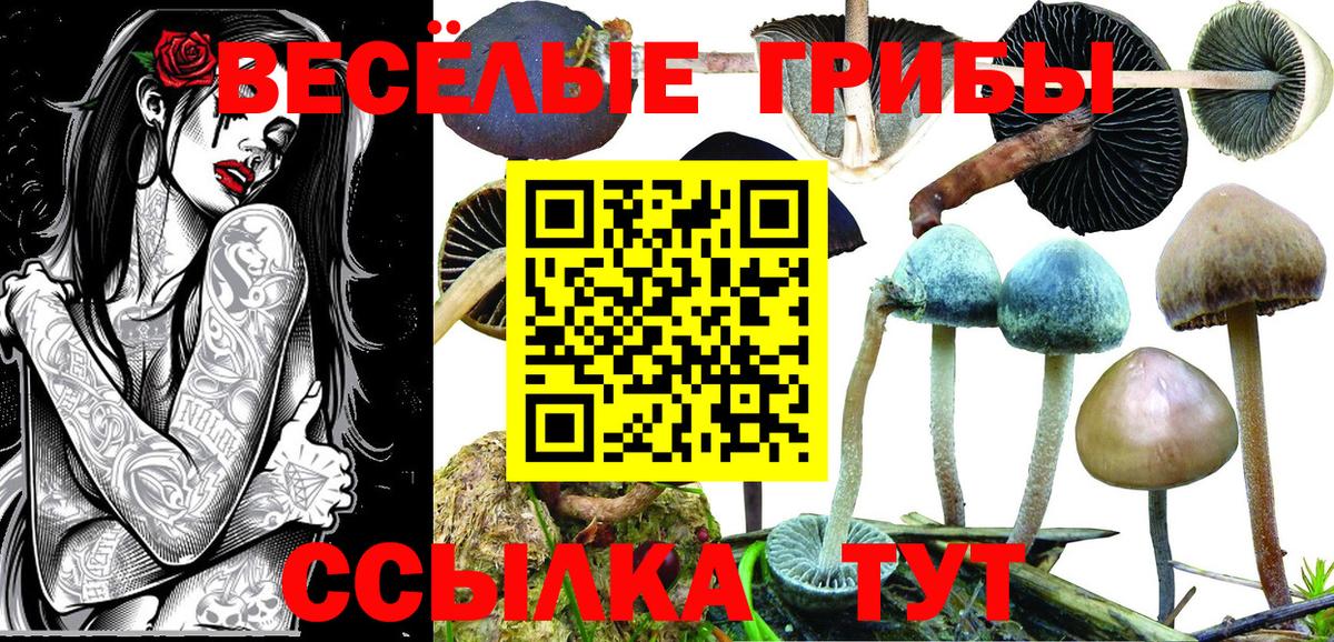 Псилоцибиновые грибы MAGIC MUSHROOMS Семилуки