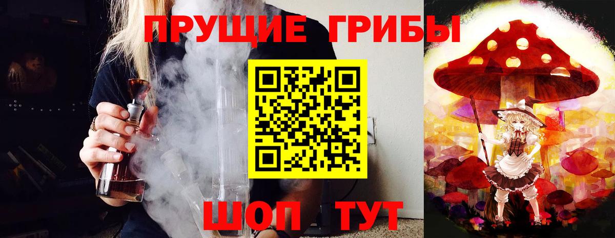Семилуки  Галлюциногенные грибы ЛСД  Вход с VPN  Галлюциногенные грибы Psilocybine cubensis 